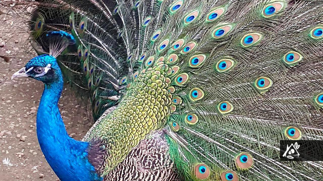 Quinta Do Paraiso Porto Martins Dış mekan fotoğraf