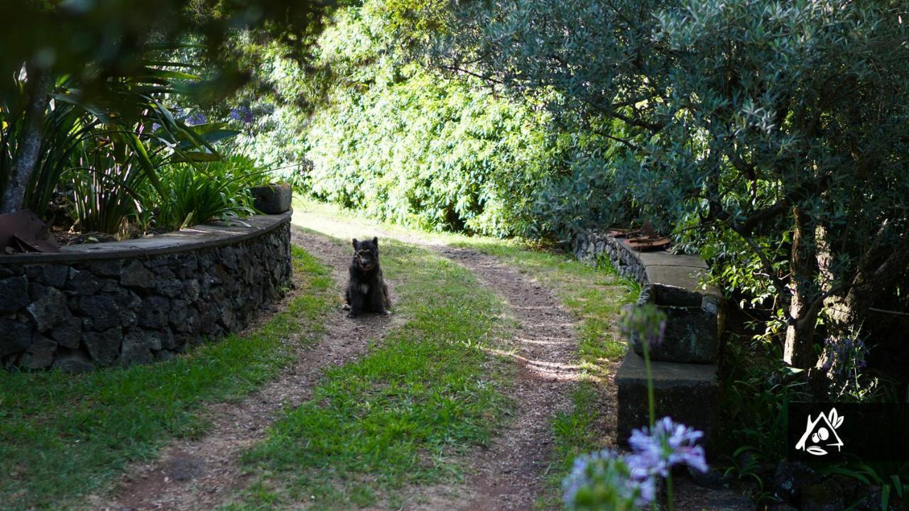 Quinta Do Paraiso Porto Martins Dış mekan fotoğraf