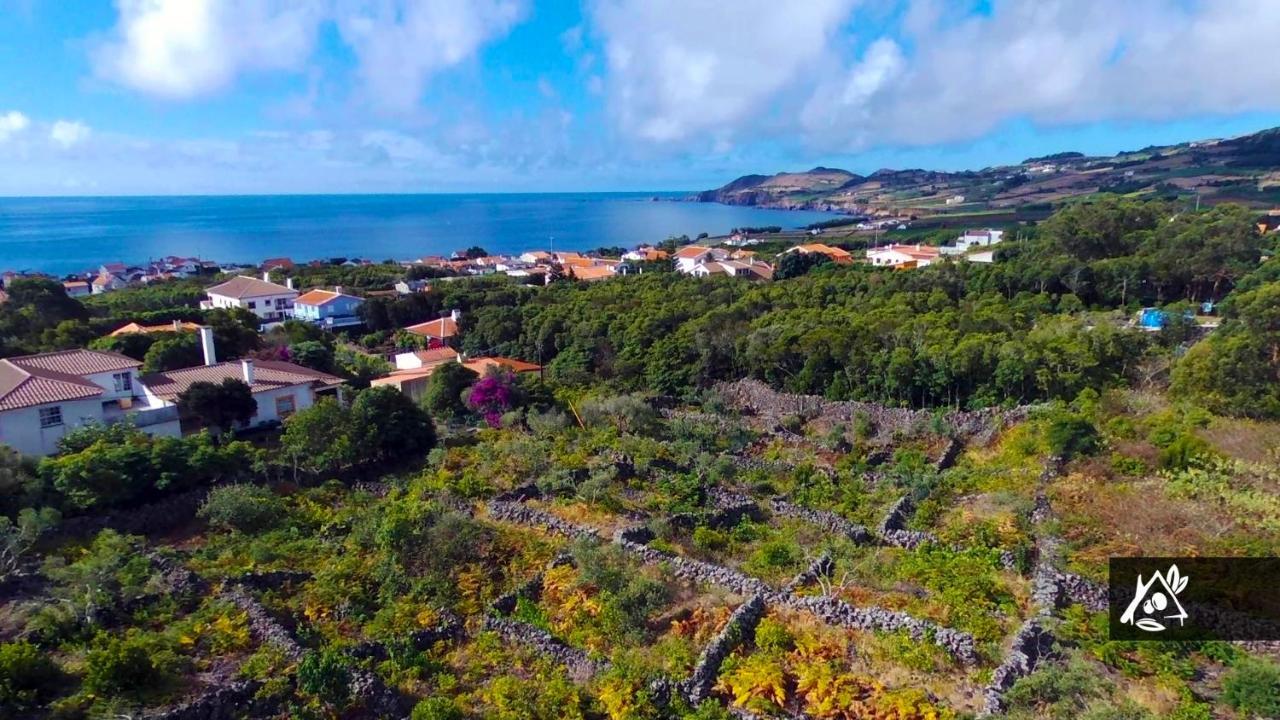 Quinta Do Paraiso Porto Martins Dış mekan fotoğraf