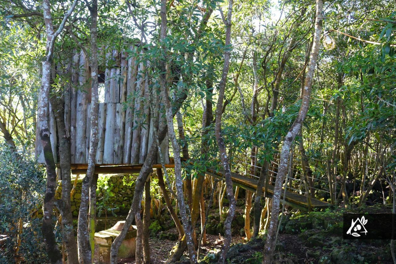 Quinta Do Paraiso Porto Martins Dış mekan fotoğraf